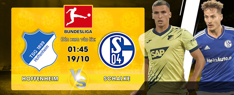 Link Xem Trực Tiếp Hoffenheim vs Schalke 04 01h45 ngày 19/10 - socolive 