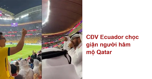 Cổ động viên Ecuador khiêu khích người hâm mộ Qatar trong  trận thua của đội chủ nhà 