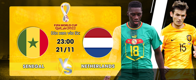Link Xem Trực Tiếp Senegal vs Hà Lan 23h00 ngày 21/11 - socolive 