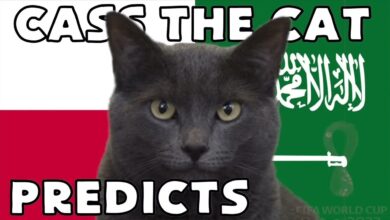 Dự đoán của mèo tiên tri Ba Lan vs Ả Rập Xê Út World Cup 2022 