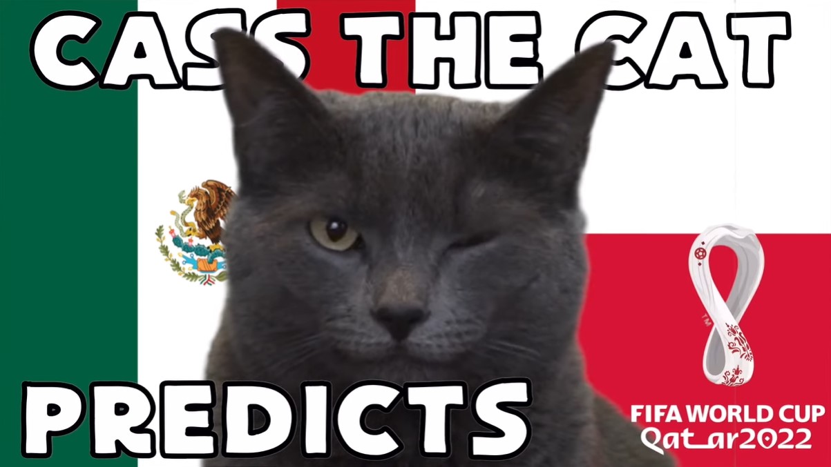 Hãy cùng mèo tiên tri dự đoán Mexico vs Ba Lan trận hôm nay