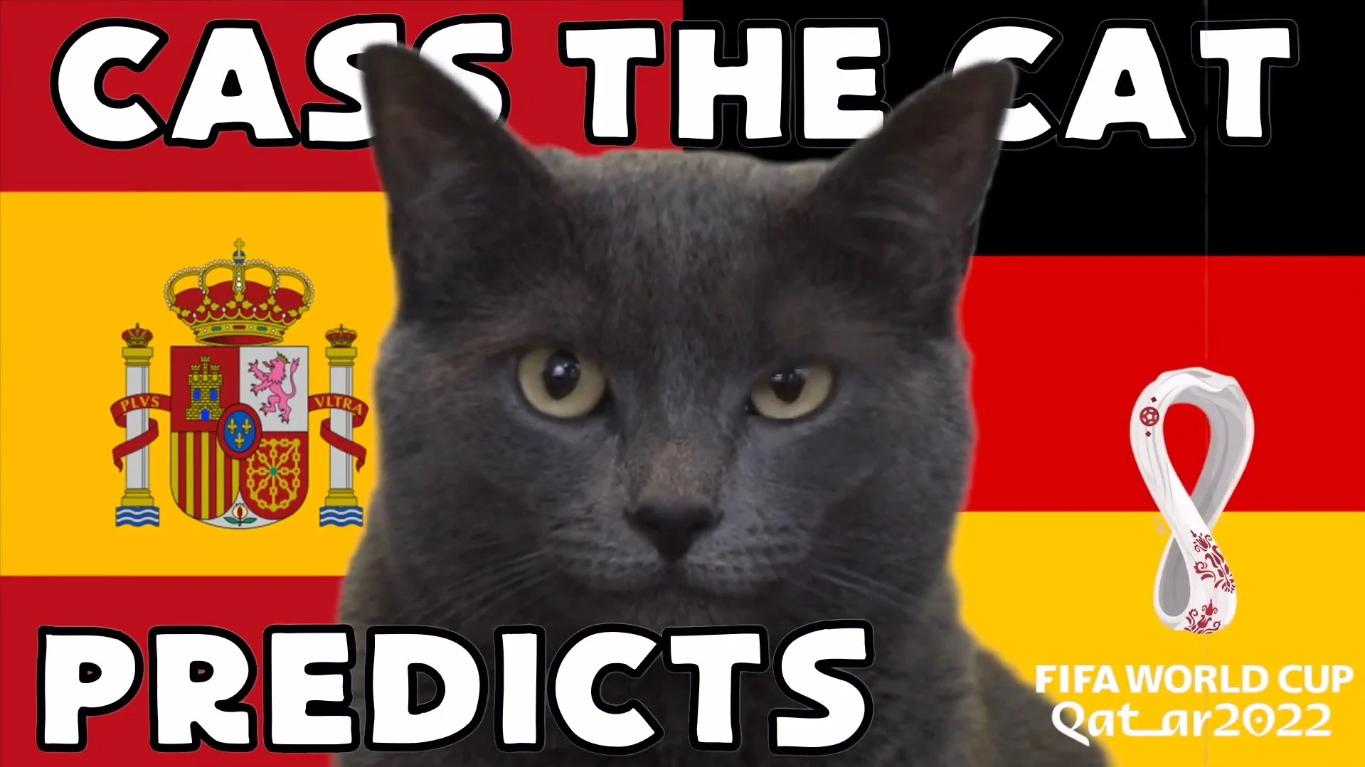 Hãy cùng mèo tiên tri dự đoán kết quả Tây Ban Nha vs Đức World Cup 2022 