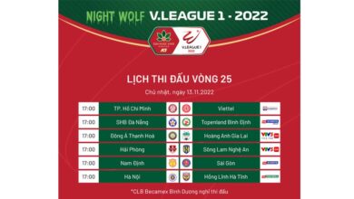 V-League 2022