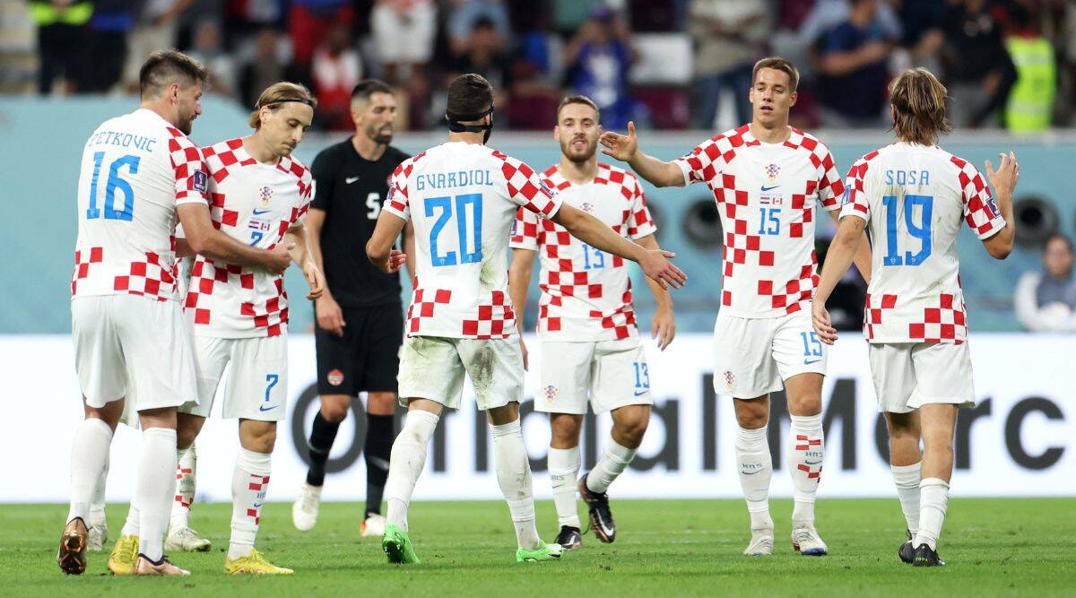 Mèo tiên tri lựa chọn tuyển Croatia sẽ giành chiến thắng trước tuyển Bỉ World Cup 2022 
