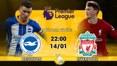 Link Xem Trực Tiếp Brighton vs Liverpool 22h00 ngày 14/01