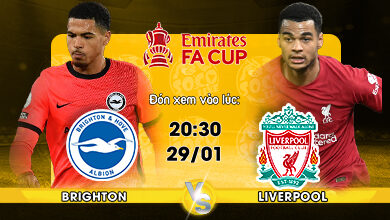 Link Xem Trực Tiếp Brighton vs Liverpool 03h00 ngày 29/01