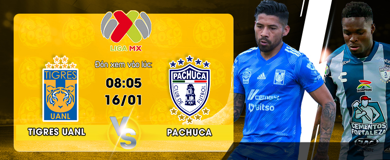 Link Xem Trực Tiếp Tigres UANL vs Pachuca 08h45 ngày 16/01