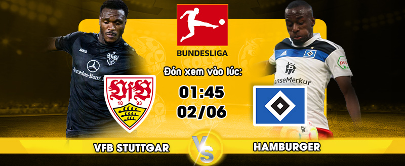 Link xem trực tiếp VfB Stuttgart vs Hamburger